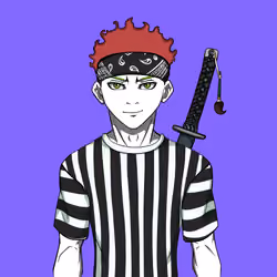 Ninja #2593