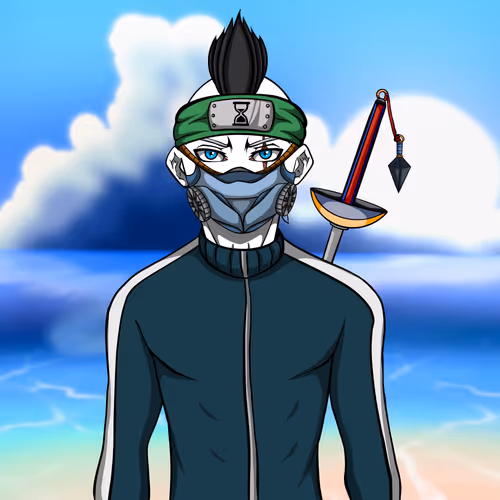 Ninja #8856