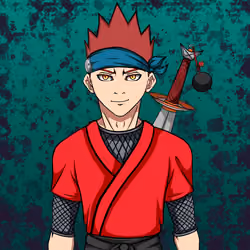 Ninja #2562