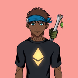 Ninja #2462