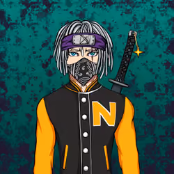 Ninja #2863