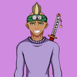 Ninja #1793