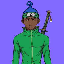 Ninja #3721