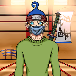 Ninja #1708