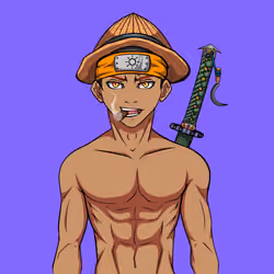 Ninja #7208