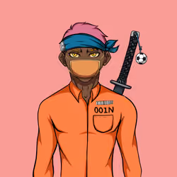 Ninja #6998