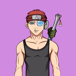 Ninja #2213