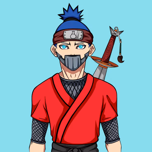 Ninja #848