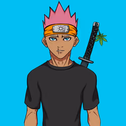 Ninja #1937