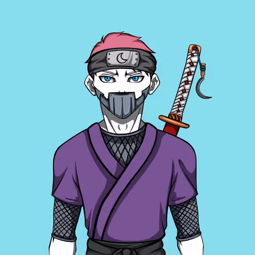 Ninja #6687