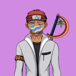 Ninja #3895