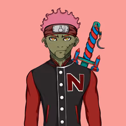 Ninja #3723