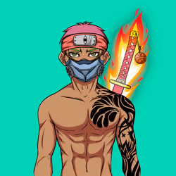 Ninja #1172