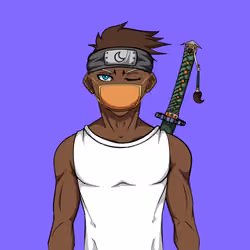 Ninja #1323