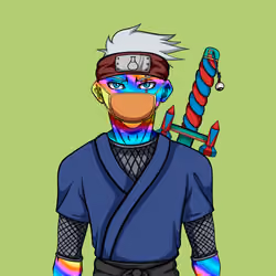 Ninja #4741