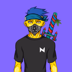 Ninja #933