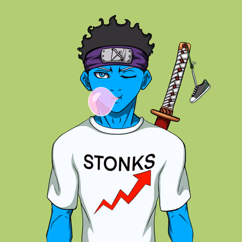 Ninja #8522