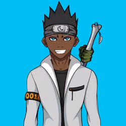 Ninja #2068