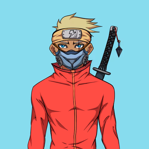 Ninja #1509