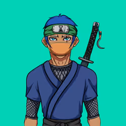 Ninja #4914