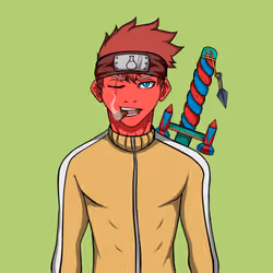 Ninja #6233