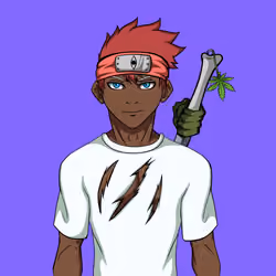Ninja #5034