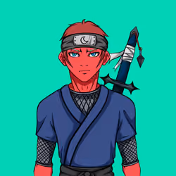 Ninja #2674