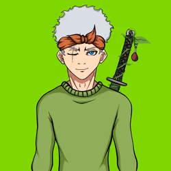 Ninja #2558