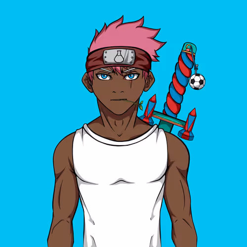 Ninja #3455
