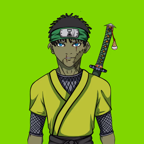Ninja #7907