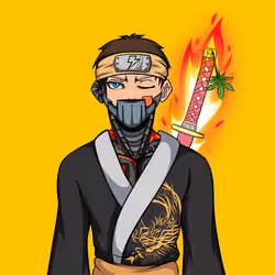 Ninja #896