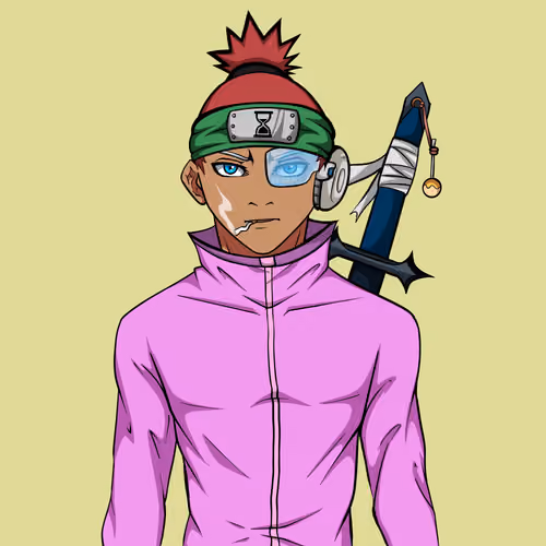 Ninja #1265