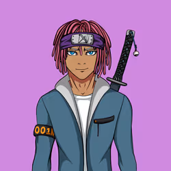 Ninja #2033