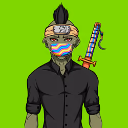 Ninja #8256