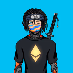 Ninja #3064