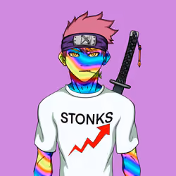 Ninja #4876