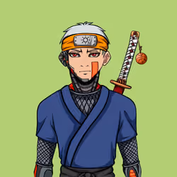 Ninja #5149