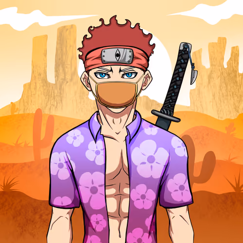 Ninja #5523