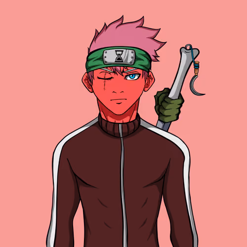 Ninja #6457