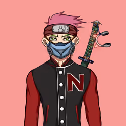 Ninja #6214