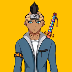 Ninja #5101