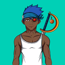Ninja #533