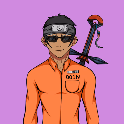 Ninja #3884
