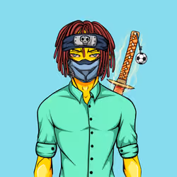 Ninja #208