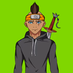 Ninja #6842