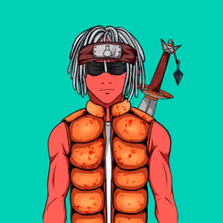Ninja #1776