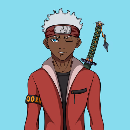 Ninja #4856