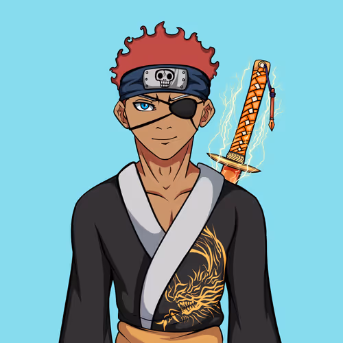 Ninja #8844