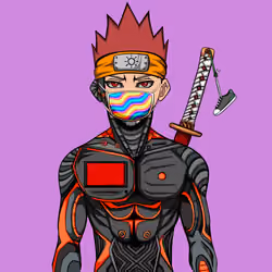 Ninja #4910