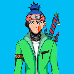 Ninja #3295
